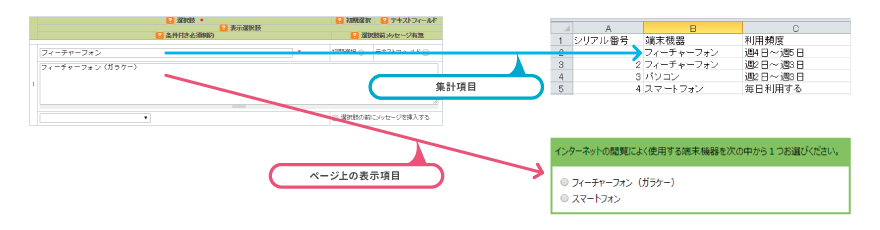 選択肢と表示選択肢にそれぞれ項目を入力した場合