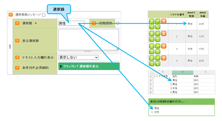 選択肢だけ入力した場合