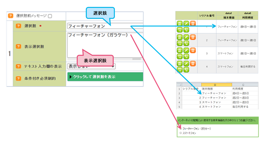 選択肢と表示選択肢それぞれ入力した場合